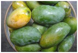 mango.jpg
